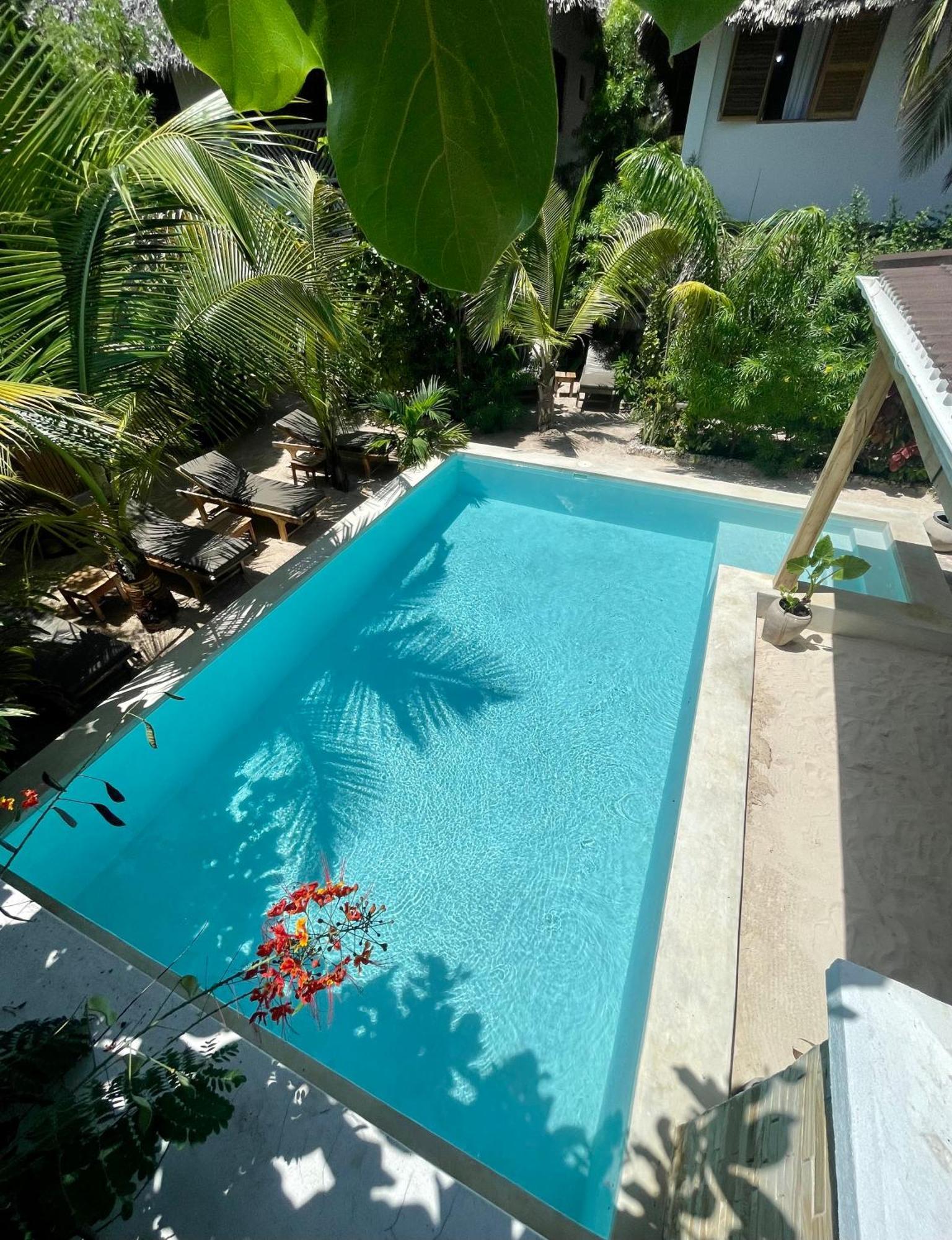 Nakupenda Paje Villa Ngoại thất bức ảnh
