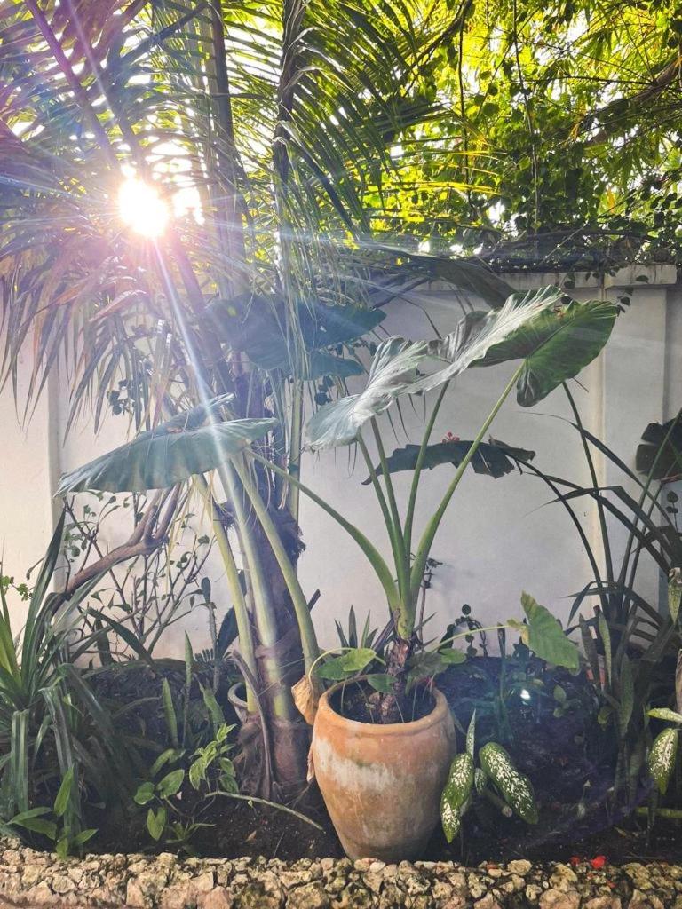 Nakupenda Paje Villa Ngoại thất bức ảnh